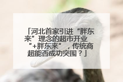 河北首家引进“胖东来”理念的超市开业 “+胖东来”，传统商超能否成功突围？