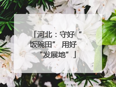 河北：守好“饭碗田” 用好“发展地”