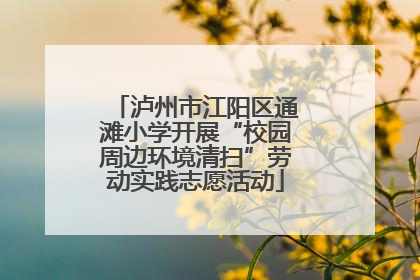 泸州市江阳区通滩小学开展“校园周边环境清扫”劳动实践志愿活动