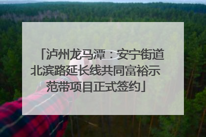 泸州龙马潭：安宁街道北滨路延长线共同富裕示范带项目正式签约
