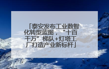 泰安发布工业数智化转型蓝图，“十百千万”梯队+灯塔工厂打造产业新标杆
