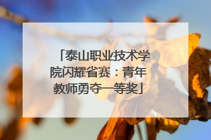 泰山职业技术学院闪耀省赛：青年教师勇夺一等奖