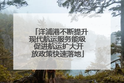 洋浦港不断提升现代航运服务能级 促进航运扩大开放政策快速落地