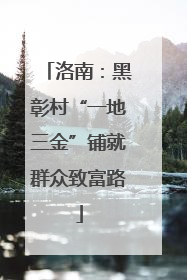 洛南：黑彰村“一地三金”铺就群众致富路