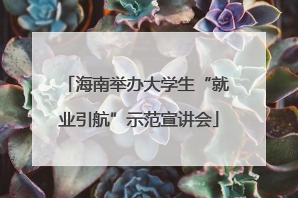 海南举办大学生“就业引航”示范宣讲会