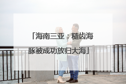 海南三亚：糙齿海豚被成功放归大海