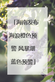 海南发布海浪橙色预警 风暴潮蓝色预警