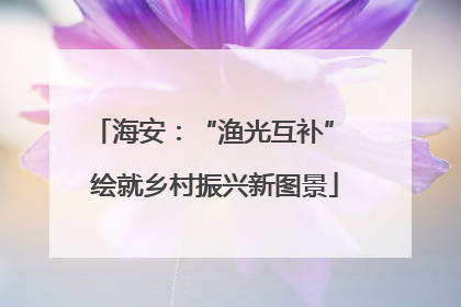 海安：“渔光互补” 绘就乡村振兴新图景