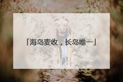 海岛麦收，长岛唯一