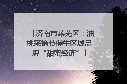 济南市莱芜区：油桃采摘节催生区域品牌“甜蜜经济”