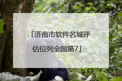 济南市软件名城评估位列全国第7
