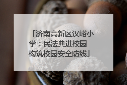 济南高新区汉峪小学：民法典进校园 构筑校园安全防线