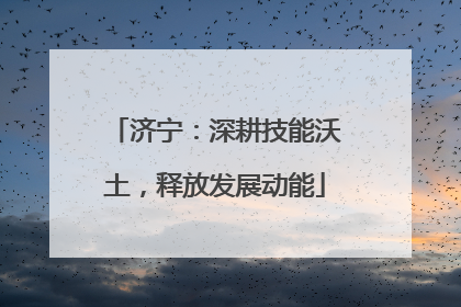 济宁：深耕技能沃土，释放发展动能