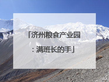 济州粮食产业园：满班长的手