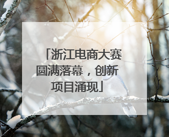 浙江电商大赛圆满落幕，创新项目涌现