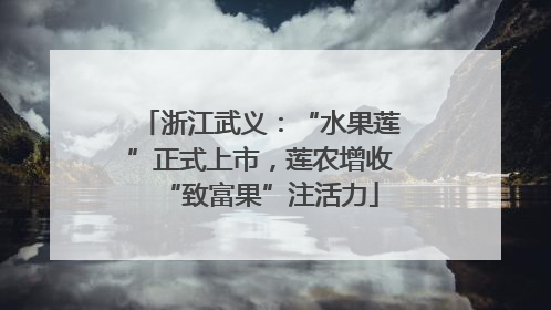浙江武义：“水果莲”正式上市，莲农增收“致富果”注活力