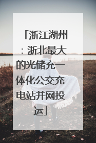 浙江湖州：浙北最大的光储充一体化公交充电站并网投运