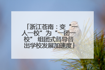 浙江苍南：变“一人一校”为“一团一校” 组团式督导督出学校发展加速度