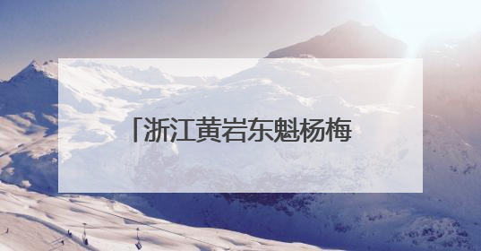 浙江黄岩东魁杨梅季系列活动启幕