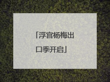 浮宫杨梅出口季开启