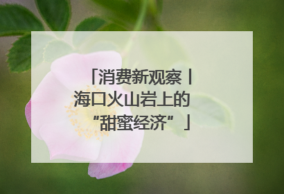 消费新观察丨海口火山岩上的“甜蜜经济”
