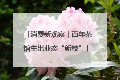 消费新观察｜百年茶馆生出业态“新枝”