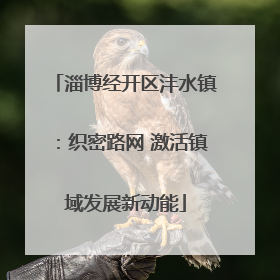 淄博经开区沣水镇：织密路网 激活镇域发展新动能