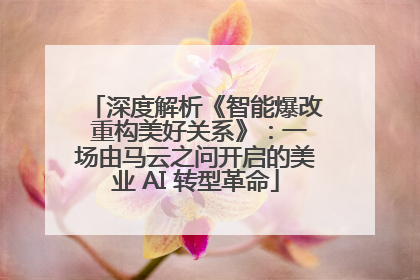 深度解析《智能爆改 重构美好关系》：一场由马云之问开启的美业 AI 转型革命