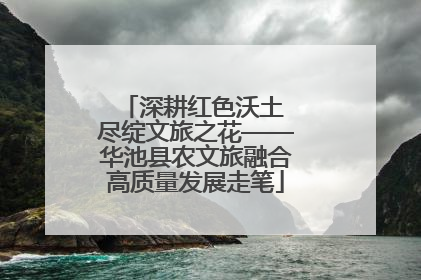 深耕红色沃土 尽绽文旅之花——华池县农文旅融合高质量发展走笔