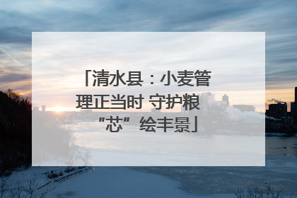清水县：小麦管理正当时 守护粮“芯”绘丰景