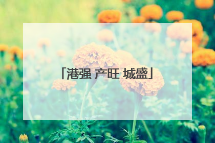港强 产旺 城盛
