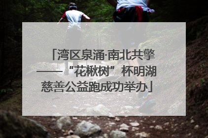 湾区泉涌·南北共擎——“花楸树”杯明湖慈善公益跑成功举办