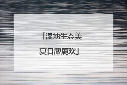 湿地生态美 夏日麋鹿欢