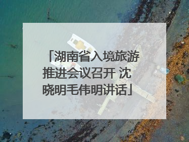 湖南省入境旅游推进会议召开 沈晓明毛伟明讲话