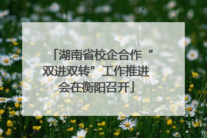 湖南省校企合作“双进双转”工作推进会在衡阳召开
