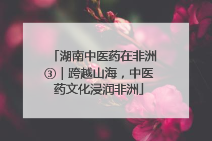 湖南中医药在非洲③｜跨越山海，中医药文化浸润非洲