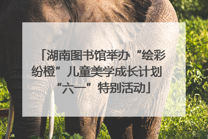 湖南图书馆举办“绘彩纷橙”儿童美学成长计划“六一”特别活动