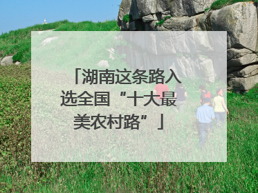 湖南这条路入选全国“十大最美农村路”