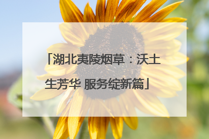 湖北夷陵烟草：沃土生芳华 服务绽新篇
