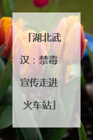 湖北武汉：禁毒宣传走进火车站