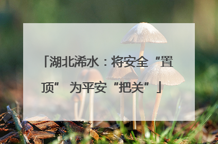湖北浠水：将安全“置顶” 为平安“把关”
