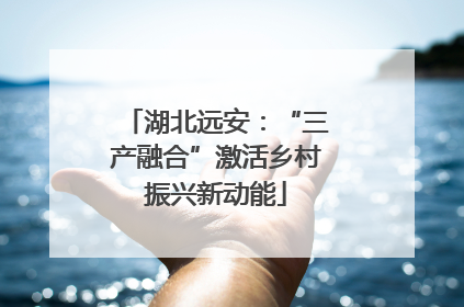 湖北远安：“三产融合”激活乡村振兴新动能