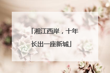 湘江西岸，十年长出一座新城