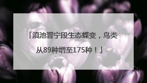 滇池晋宁段生态蝶变，鸟类从89种增至175种！