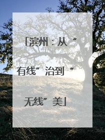 滨州：从“有线”治到“无线”美