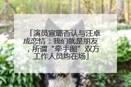 演员宣璐否认与汪卓成恋情：我们就是朋友，所谓“牵手图”双方工作人员均在场