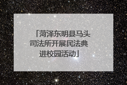 菏泽东明县马头司法所开展民法典进校园活动