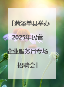 菏泽单县举办2025年民营企业服务月专场招聘会