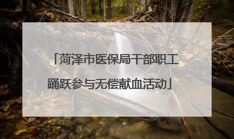 菏泽市医保局干部职工踊跃参与无偿献血活动