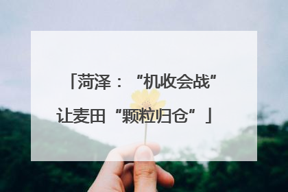 菏泽：“机收会战”让麦田“颗粒归仓”